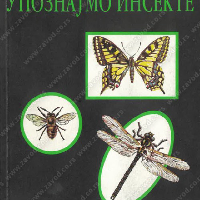 Upoznajmo insekte