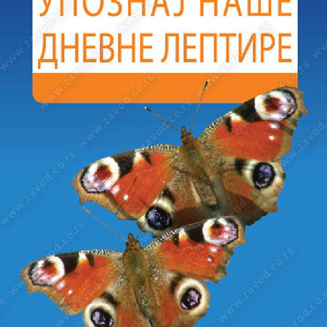 UPOZNAJ NAŠE DNEVNE LEPTIRE - za biologiju za 6. i 7. razred OŠ