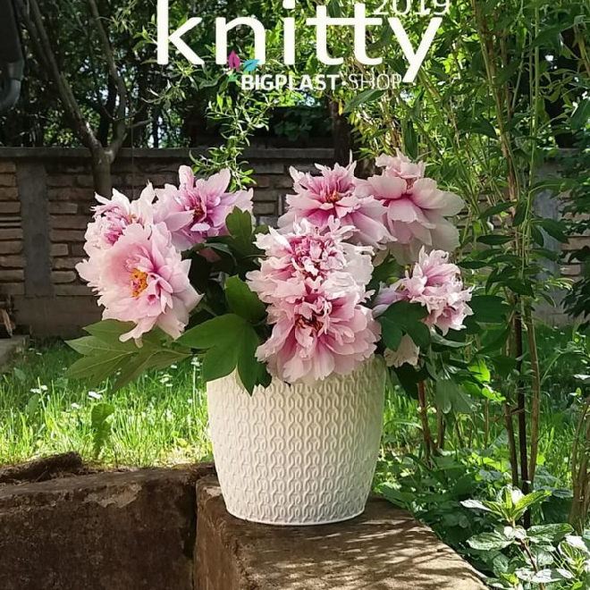 Knitty ø17