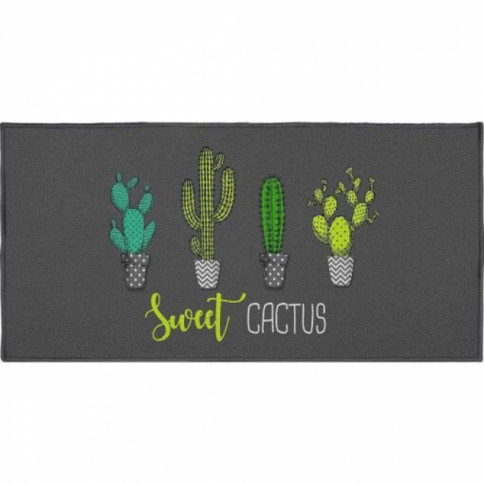 Staza Swet Cactus