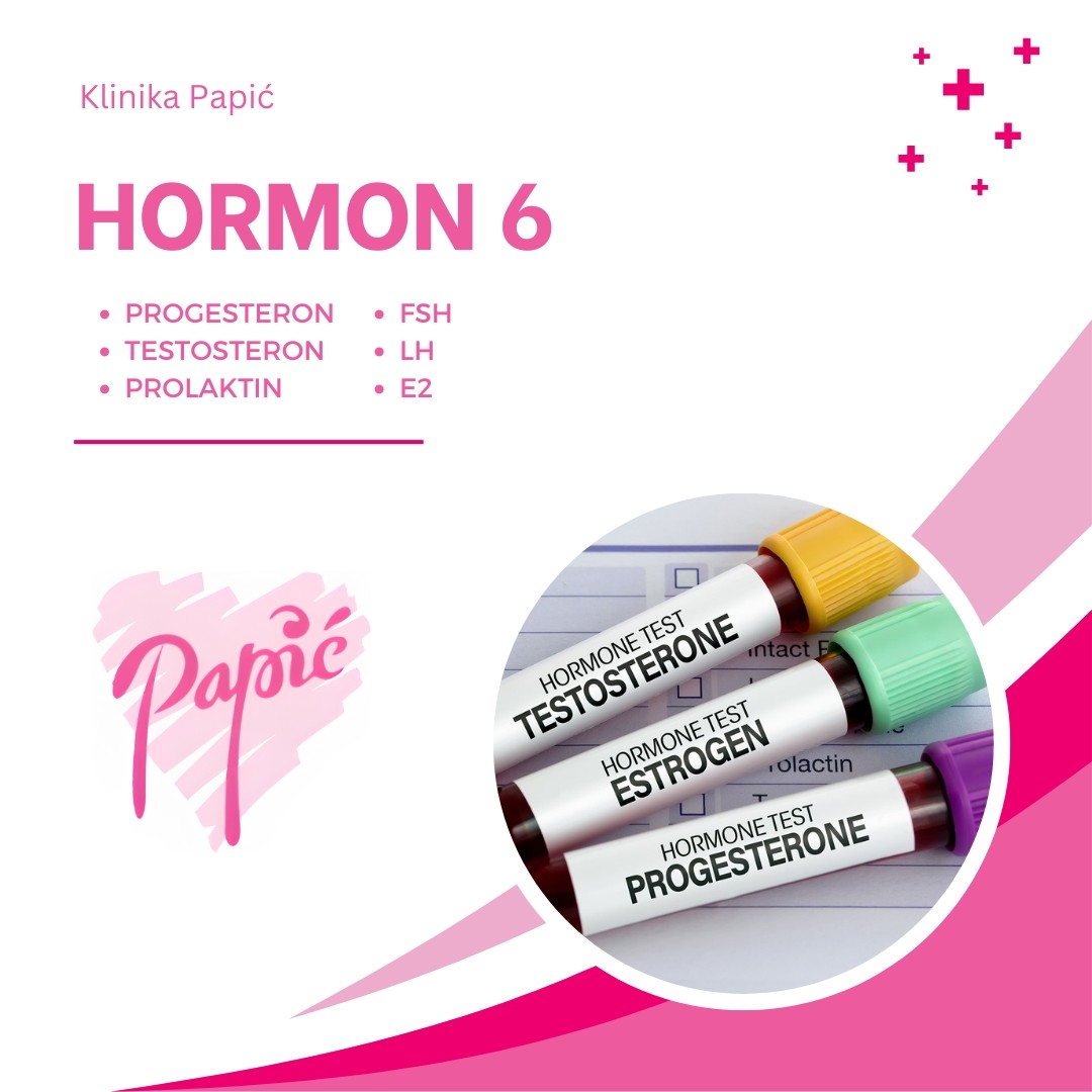 Hormoni 6