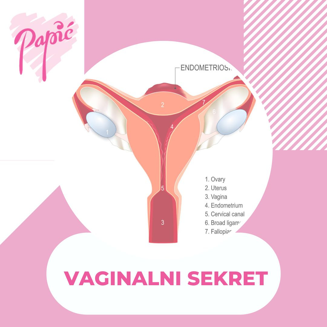 Vaginalni sekret
